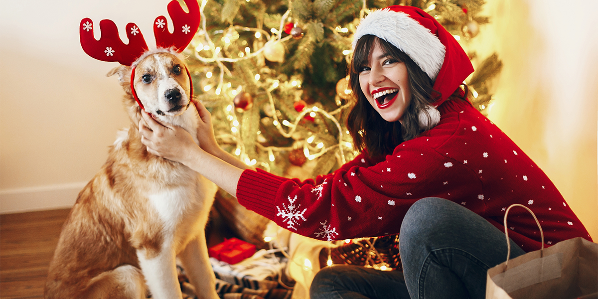 Így (ne) védd meg a karácsonyfád házi kedvencedtől!