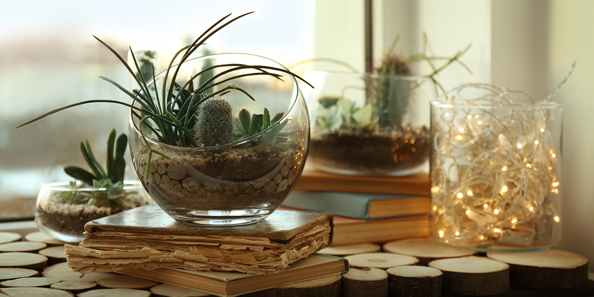 Florárium - Az üvegbe zárt minikert