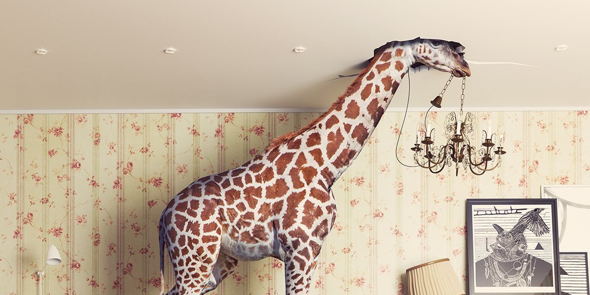 Költözés teszt cikk5_C