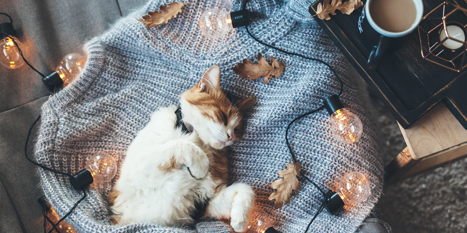 2021 téli lakberendezési trendek