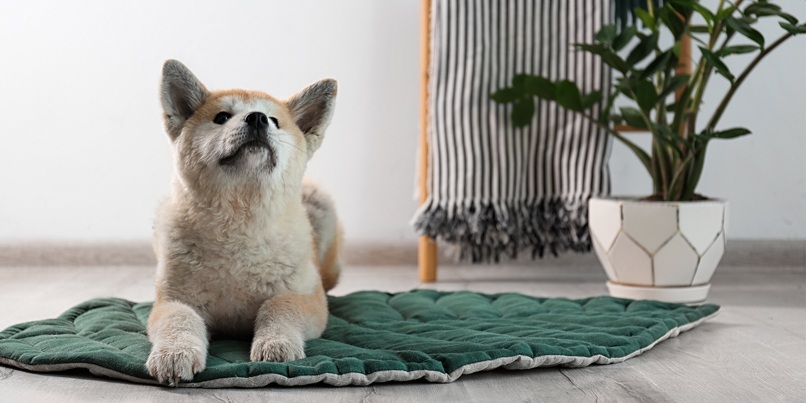 Távol-keleti és japán stílus - Az egzotikus minimalizmus békéje