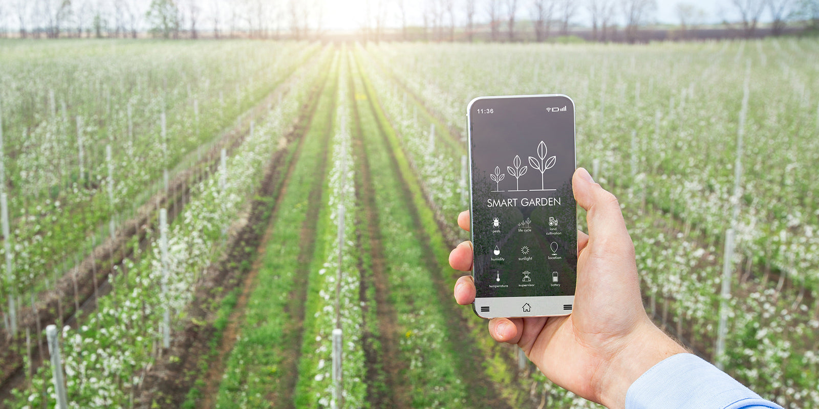 Eljött a kertészkedés új korszaka: smart garden megoldások