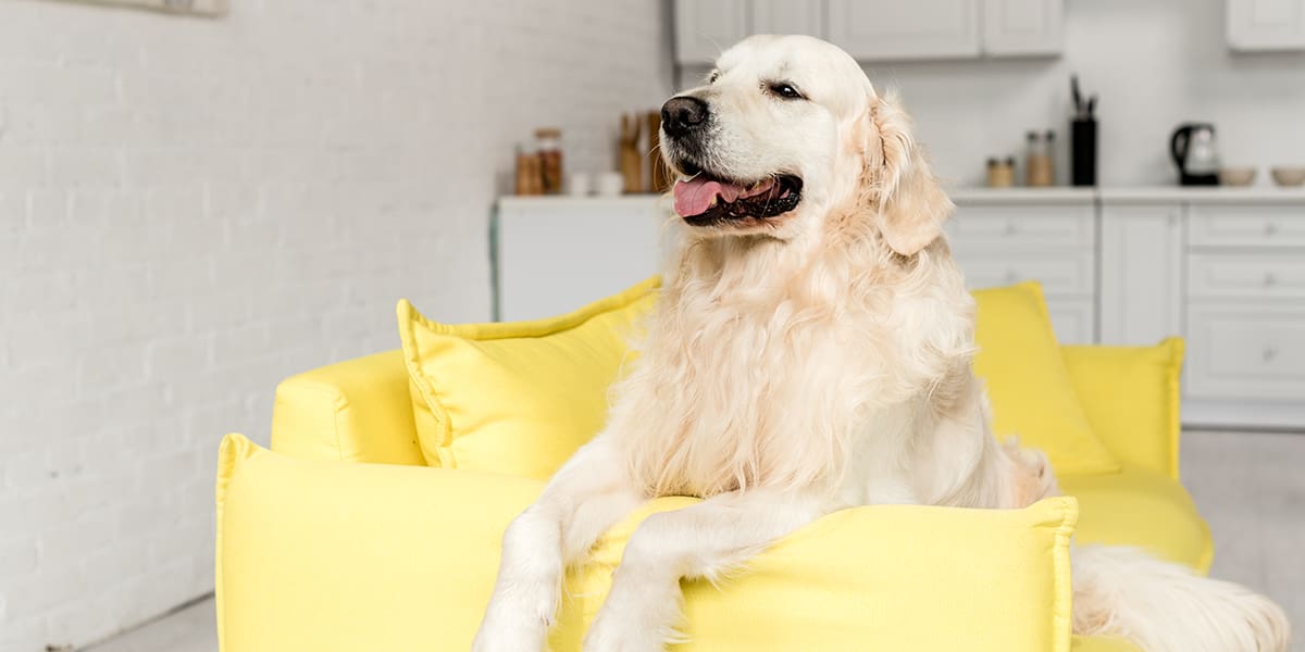 Egy világos otthon kellemesen hat az érzelmeinkre