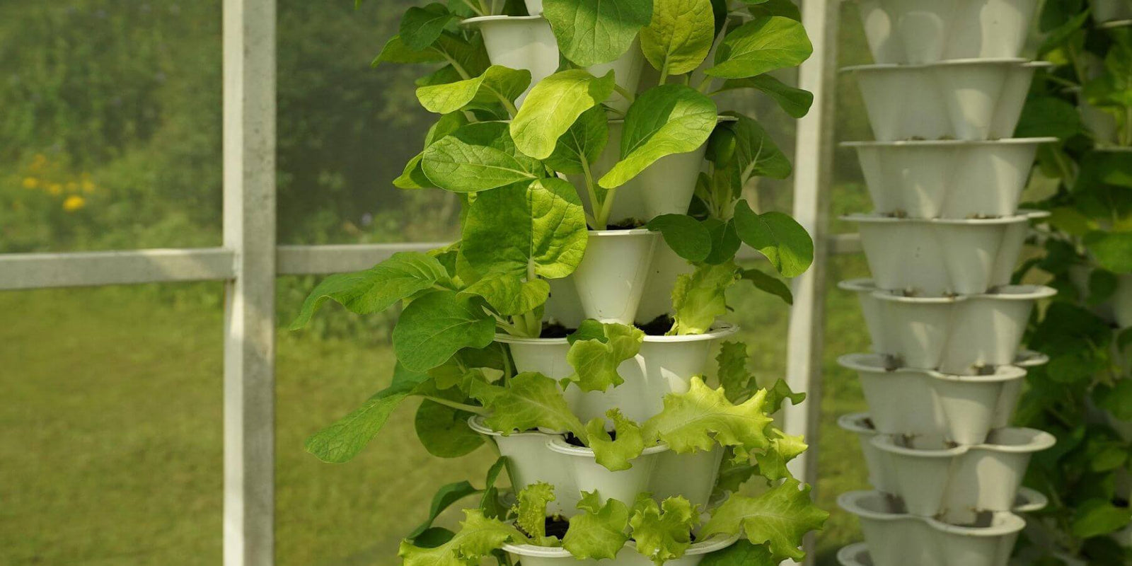 Mit érdemes tudni a hidrokultúrás növényekről?