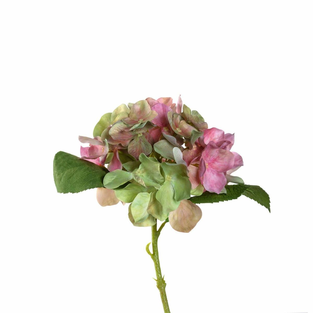 LEONARDO POESIA hortensia 33cm, rózsaszín