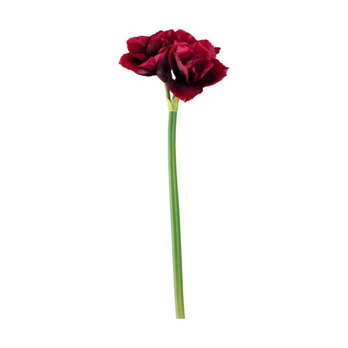 LEONARDO STELLA amaryllis 70cm, sötét piros