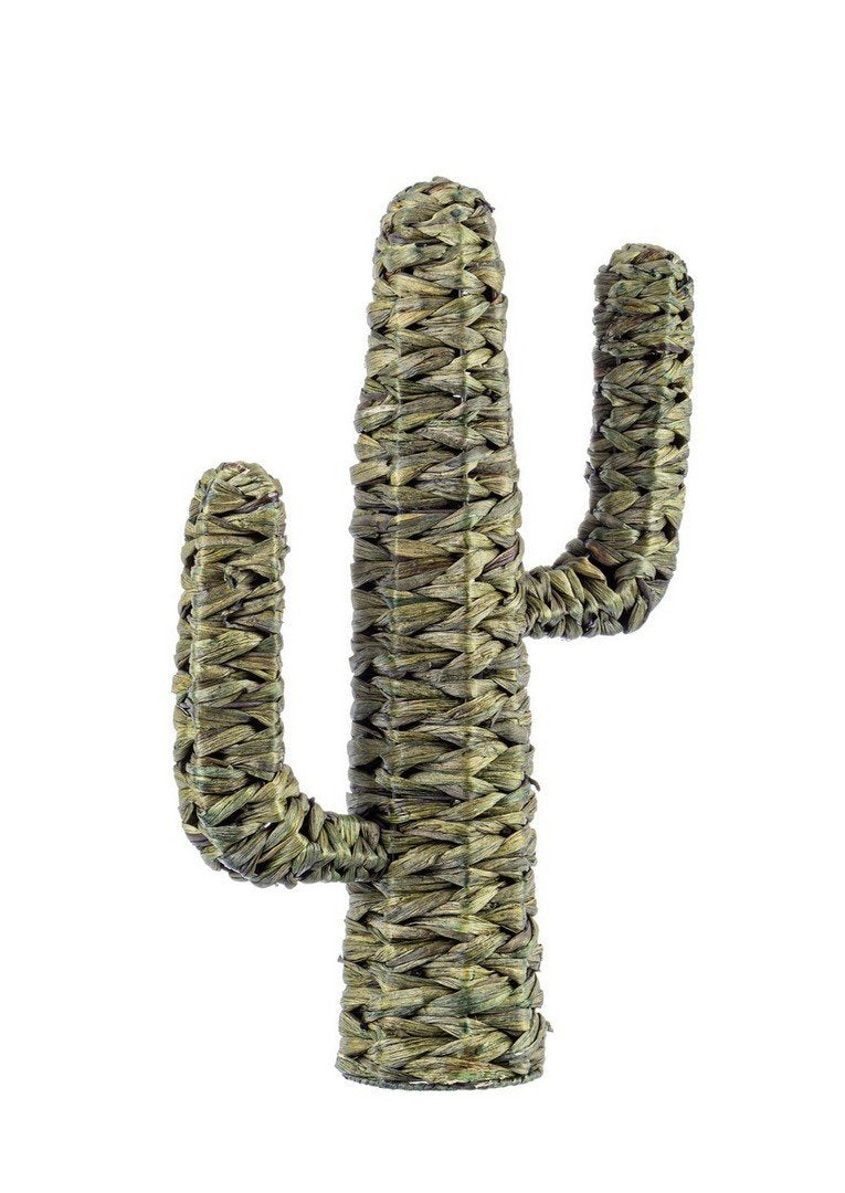 SAGUARO zöld tengerifű dísztárgy