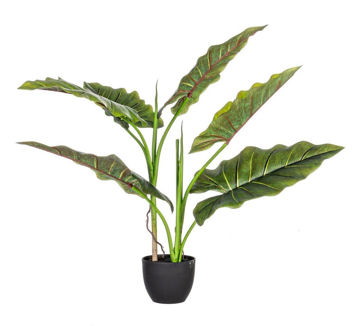 DIEFFENBACHIA zöld művirág 78 cm