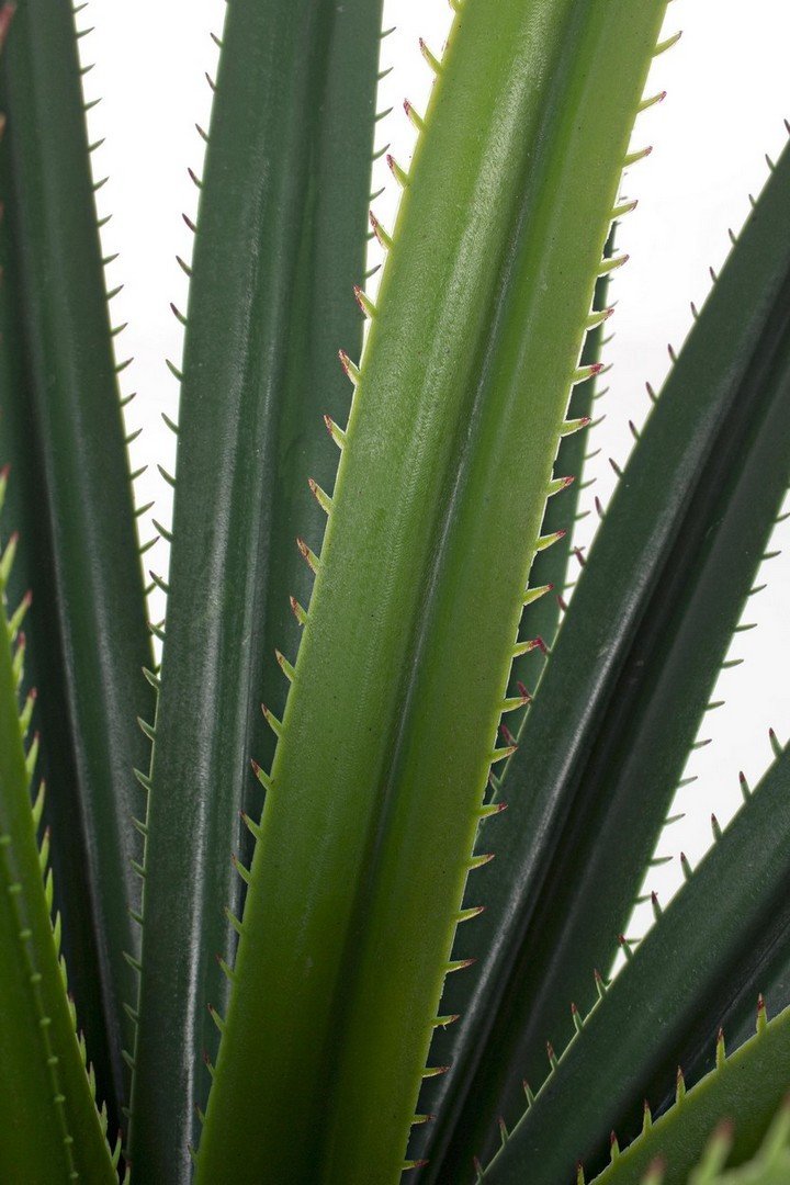 RUSCACEAE zöld műanyag (pe) művirág