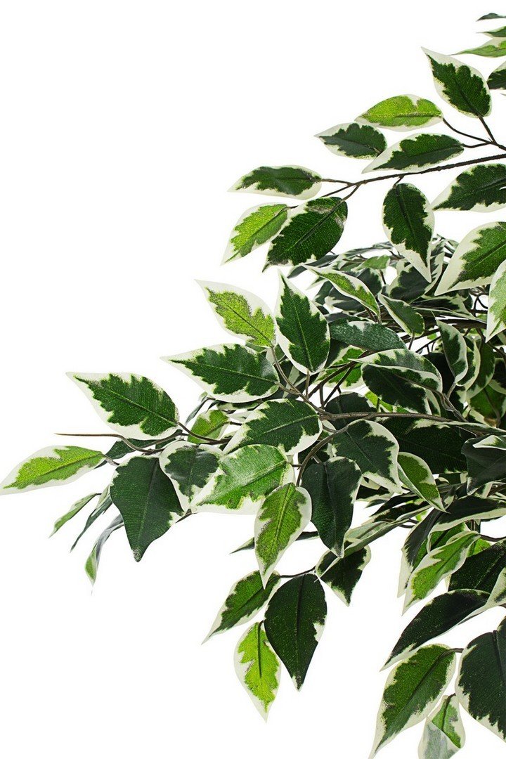 VARIEGATED FICUS zöld műanyag (pe) művirág