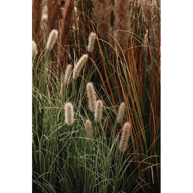 PENNISETUM zöld pvc művirág