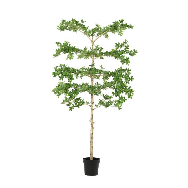 PITTOSPORUM zöld fém művirág