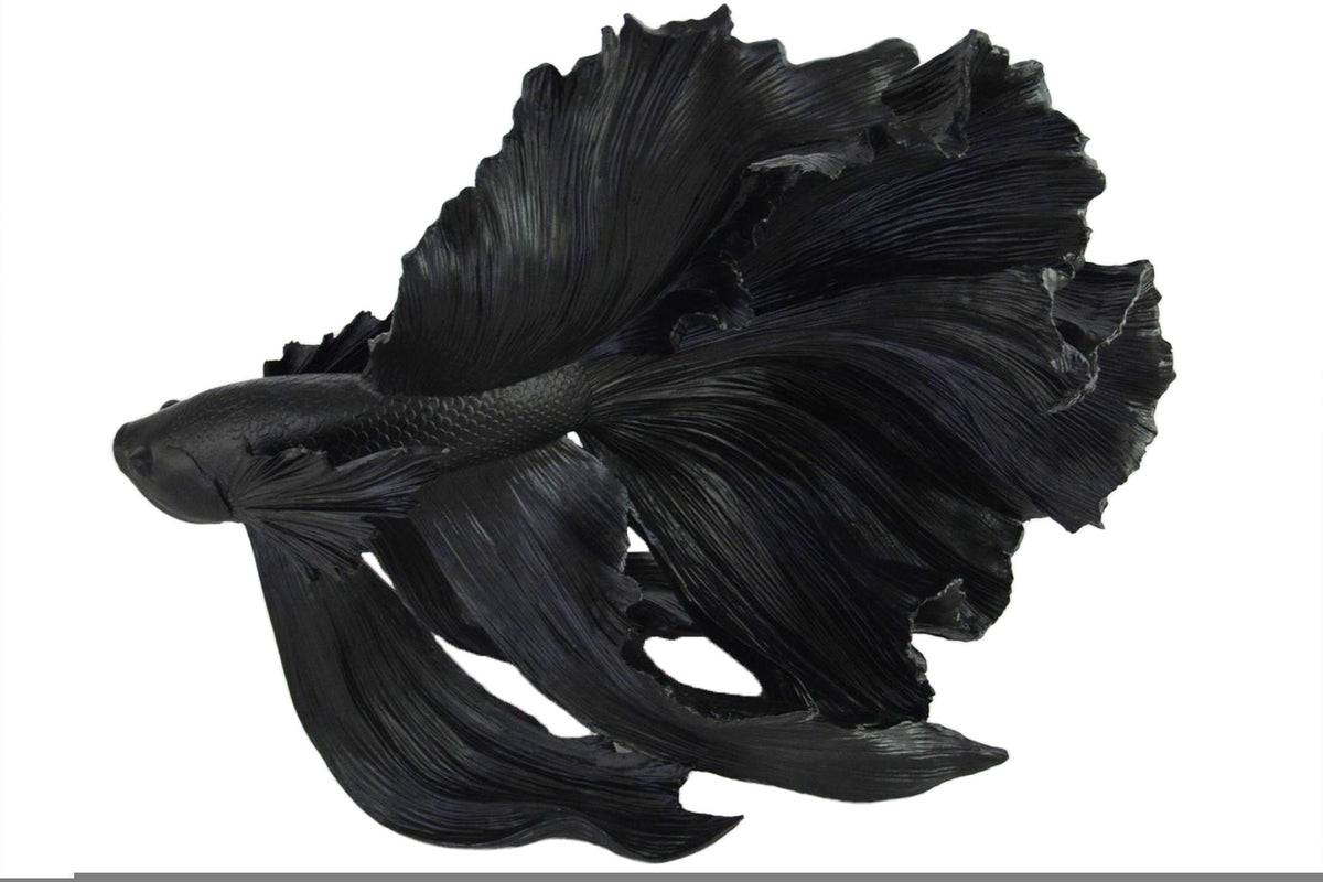 CROWNTAIL fekete 3d hal dekoráció 65cm
