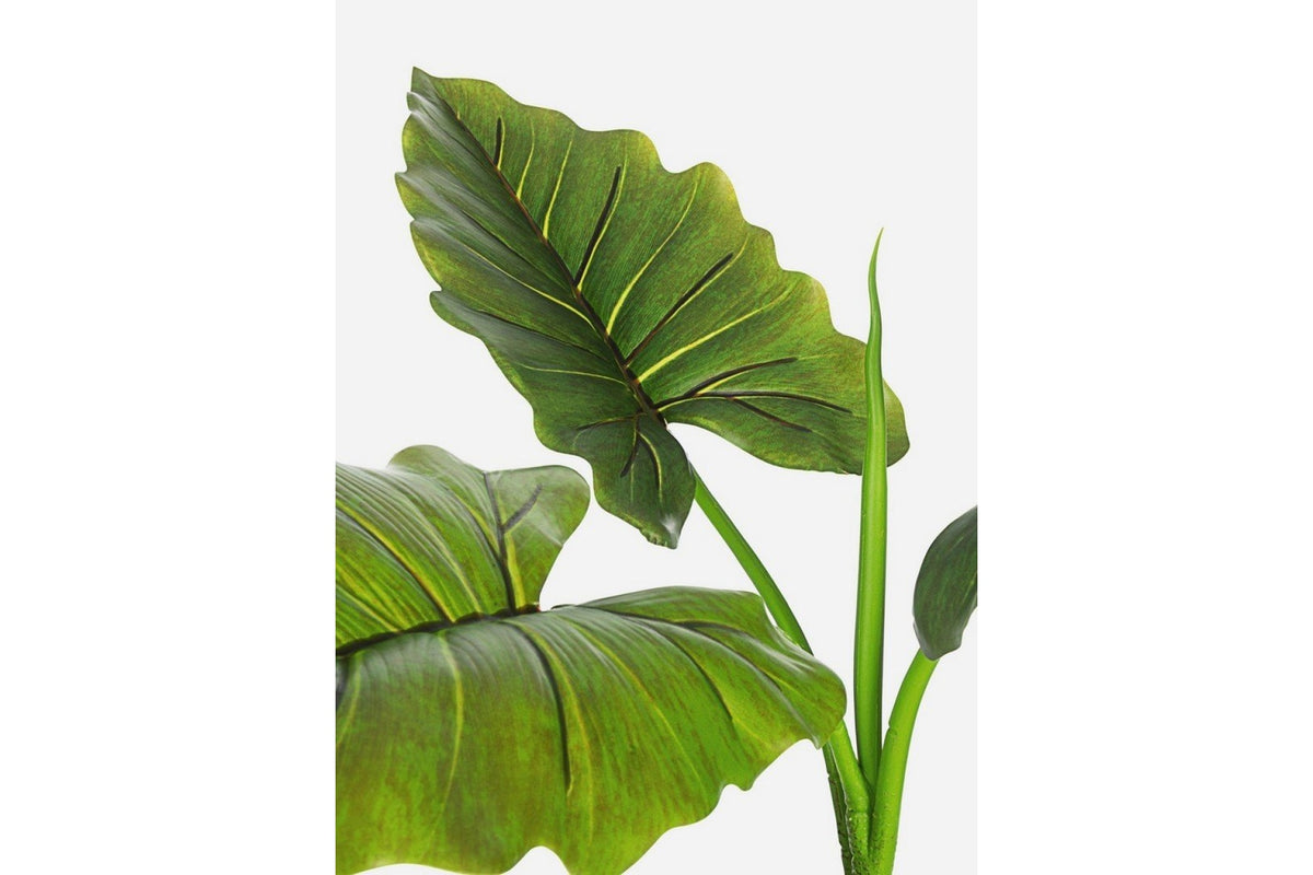 Művirág - DIEFFENBACHIA zöld művirág 78 cm