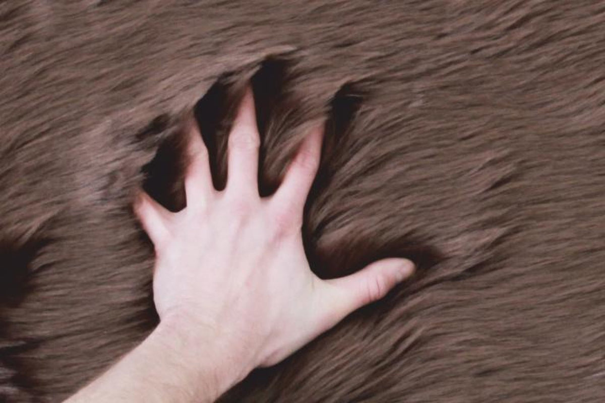 Szőnyeg - EBONY barna szőnyeg 60 x 90 cm