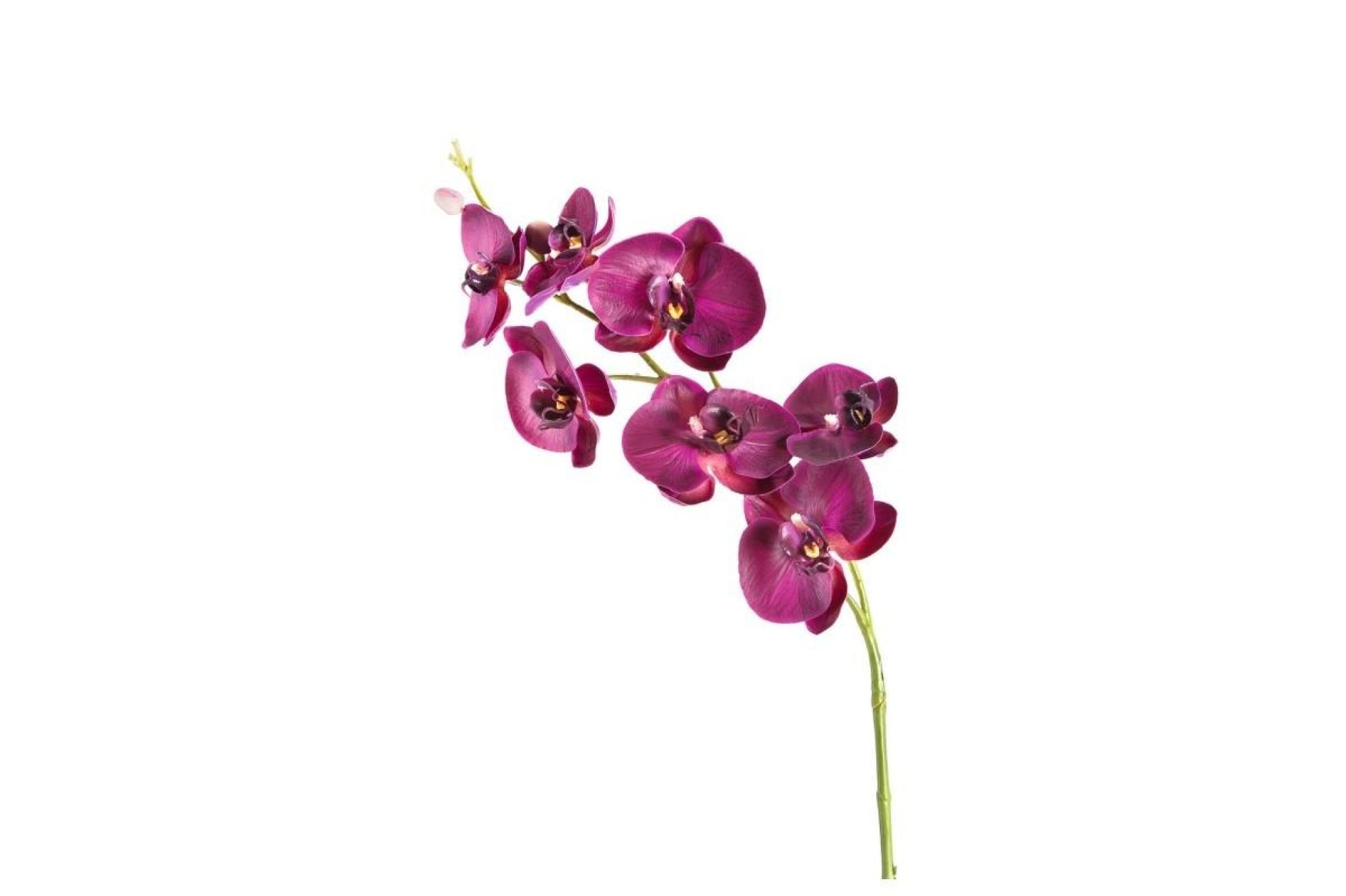 Művirág - FIORE orchidea 85cm lila - Leonardo