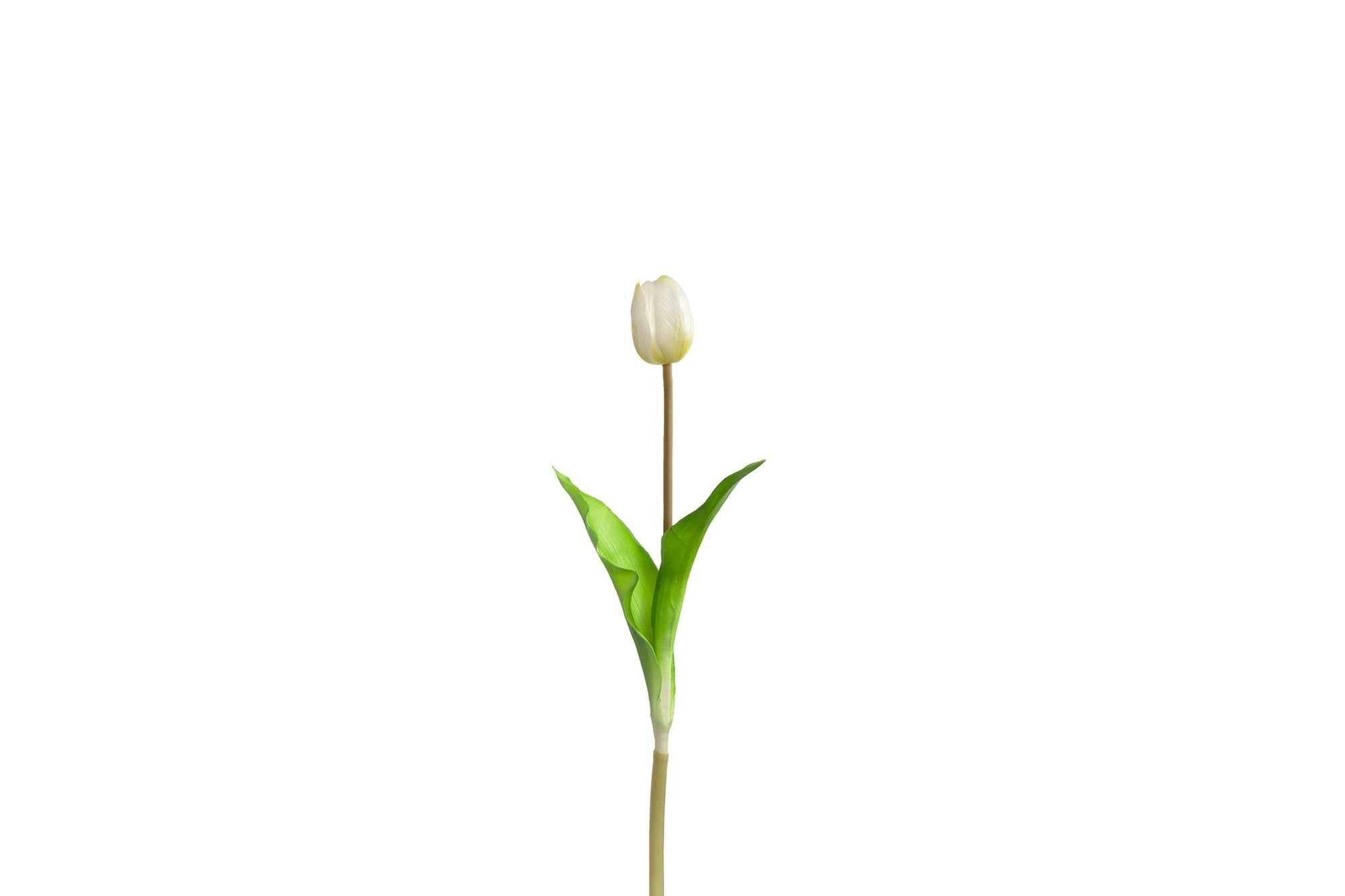Művirág - SAVONA tulipán 36cm fehér - Leonardo