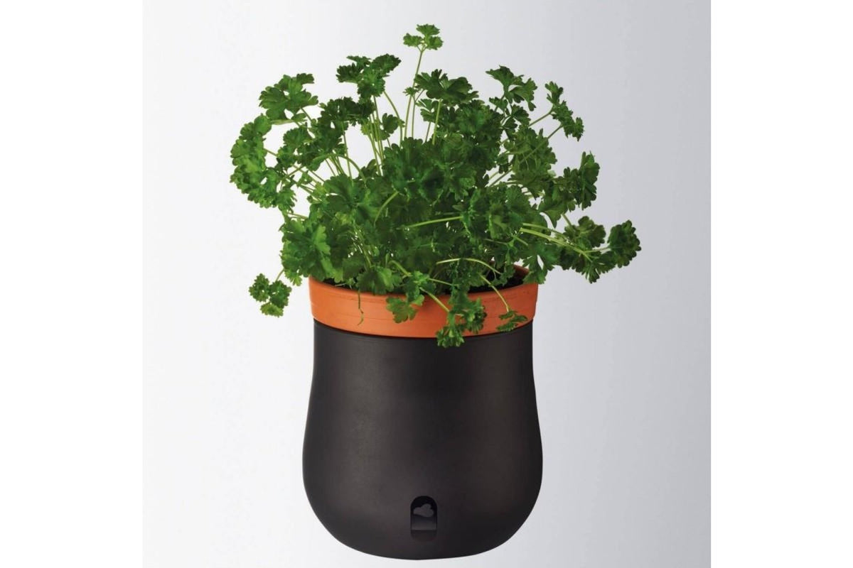Váza - SERRA önitatós fűszernövény kaspó 24cm fekete - Leonardo